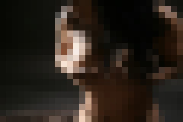 Midwest Charlee Des Moines, Iowa Escort, BDSM, DUO, Couple, Massage, Verified Adult Service Provider, Companion in United States | 6