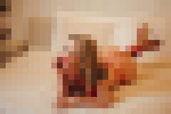 Ella Bolt London Escort, Pornstar, BDSM, DUO, Couple, Verified Adult Service Provider, Companion in United Kingdom | 2
