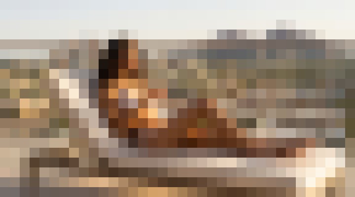 Alani Skyy Phoenix, Arizona Escort, , Verified Adult Service Provider, Companion in United States | 11