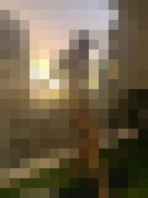 sierraX Sydney Escort, Pornstar, DUO, Couple, Massage, Verified Adult Service Provider, Companion in Australia | 10