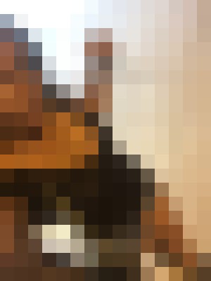 EuphoriaMadden Washington DC Escort, Pornstar, DUO, Verified Adult Service Provider, Companion in United States | 7