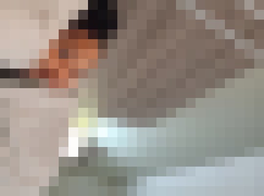Chassidy Monroe, Louisiana Escort, , Verified Adult Service Provider, Companion in United States | 4
