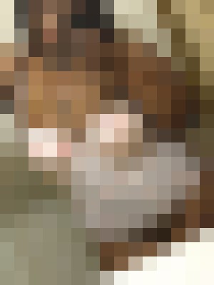 Cocoslobs Oakland, California Escort, Pornstar, BDSM, DUO, Couple, Verified Adult Service Provider, Companion in United States | 5