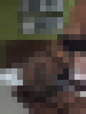 SexyXX Charlotte, North Carolina Escort, , Verified Adult Service Provider, Companion in United States | 4