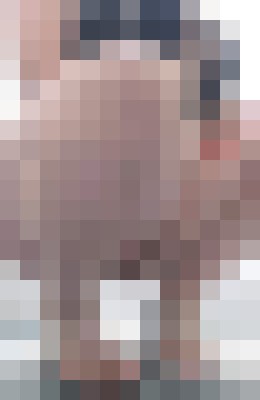 SweetKandie Rialto, California Escort, Pornstar, BDSM, Couple, Massage, Verified Adult Service Provider, Companion in United States | 6
