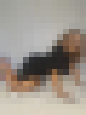 Ava Juliette Orange County, California Escort, , Verified Adult Service Provider, Companion in United States | 4