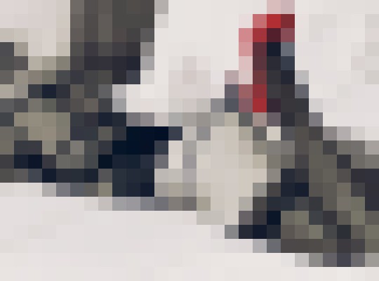 GEGE_ Boston, Massachusetts Escort, Pornstar, DUO, Couple, Verified Adult Service Provider, Companion in United States | 7