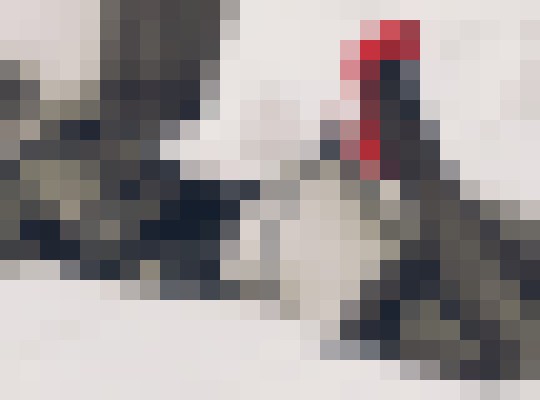 GEGE_ Boston, Massachusetts Escort, Pornstar, DUO, Couple, Verified Adult Service Provider, Companion in United States | 14