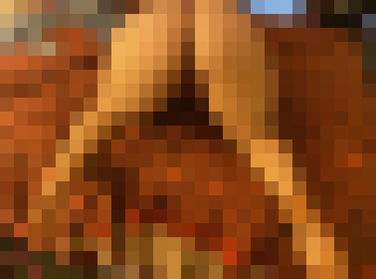 HarleyRx42099 Alexandria, Virginia Escort, Pornstar, Verified Adult Service Provider, Companion in United States | 6