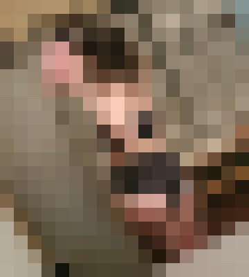 Strawberrydelight Montreal Escort, Pornstar, Massage, Verified Adult Service Provider, Companion in Canada | 10