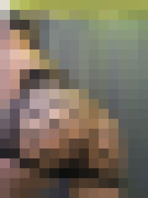 Dani Loyal Las Vegas, Nevada Escort, , Verified Adult Service Provider, Companion in United States | 6