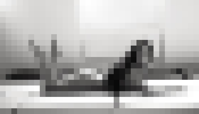 Kayleevip Stockholm Escort, Pornstar, BDSM, DUO, Couple, Massage, Verified Adult Service Provider, Companion in Sweden | 3