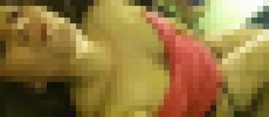 Alexis Wett XXX Fairfield, Connecticut Escort, , Verified Adult Service Provider, Companion in United States | 7