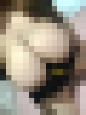 Lisa25 Singapore Escort, , Verified Adult Service Provider, Companion in Singapore | 2