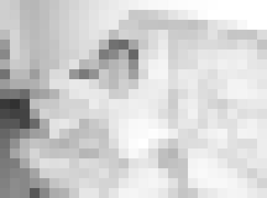 Perthfunplayart Perth Escort, BDSM, Couple, Massage, Verified Adult Service Provider, Companion in Australia | 17