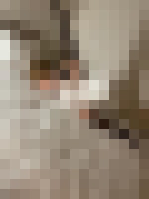 Jessy001 New Jersey Escort, , Verified Adult Service Provider, Companion in United States | 3