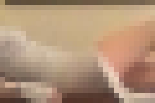 KatieinDenver Denver, Colorado Escort, , Verified Adult Service Provider, Companion in United States | 3