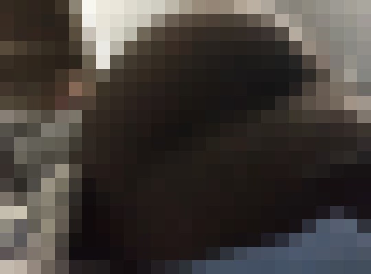 Bricksmans Panama City, Panama Escort, Pornstar, BDSM, DUO, Couple, Massage, Verified Adult Service Provider, Companion in United States | 5