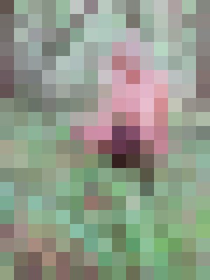 Tiffy Orlando, Florida Escort, , Verified Adult Service Provider, Companion in United States | 4