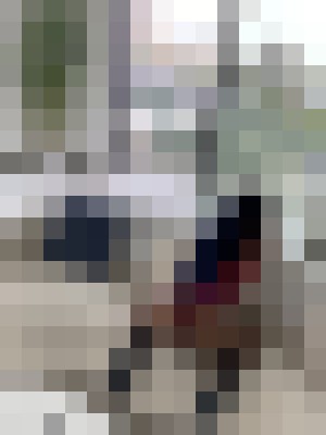CreamyChanel Houston, Texas Escort, Pornstar, BDSM, Verified Adult Service Provider, Companion in United States | 5
