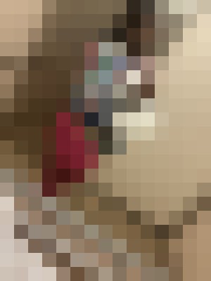 CocoD Tacoma, Washington Escort, DUO, Massage, Verified Adult Service Provider, Companion in United States | 13