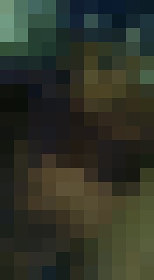 DiamondsRforver l San Antonio, Texas Escort, Pornstar, BDSM, DUO, Couple, Massage, Verified Adult Service Provider, Companion in United States | 10