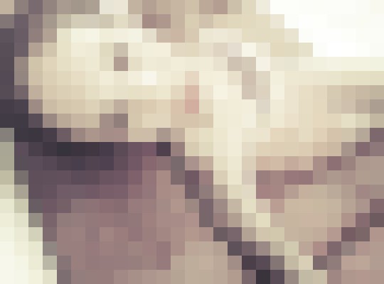 Carmella0288 Little Rock, Arkansas Escort, , Verified Adult Service Provider, Companion in United States | 13