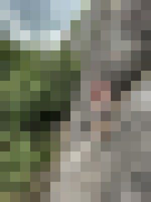 Amy Amore Savannah, Georgia Escort, Pornstar, BDSM, Massage, Verified Adult Service Provider, Companion in United States | 10