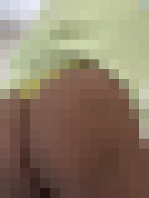 sexxxxy69 Tampa, Florida Escort, Pornstar, Verified Adult Service Provider, Companion in United States | 4
