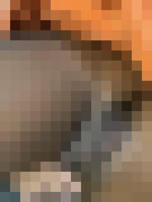 sexxxxy69 Tampa, Florida Escort, Pornstar, Verified Adult Service Provider, Companion in United States | 10