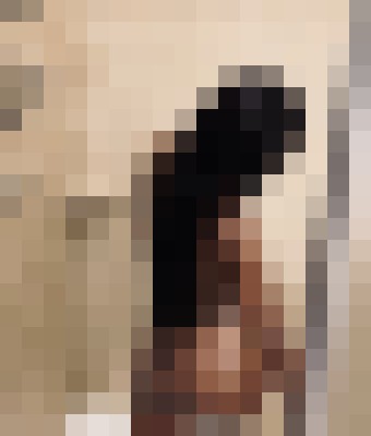 Yonni Chicago, Illinois Escort, , Verified Adult Service Provider, Companion in United States | 10