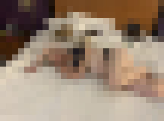 Lauren B41 Houston, Texas Escort, Pornstar, Verified Adult Service Provider, Companion in United States | 6