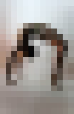 txntricgoddess Geneva Escort, BDSM, Massage, Verified Adult Service Provider, Companion in Switzerland | 5