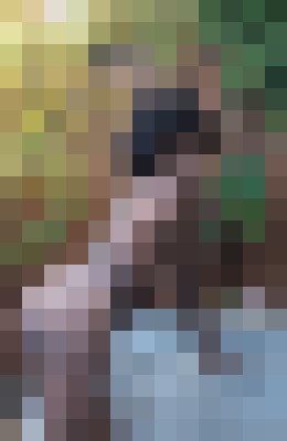 Frenchie Sacramento, California Escort, Pornstar, Verified Adult Service Provider, Companion in United States | 6