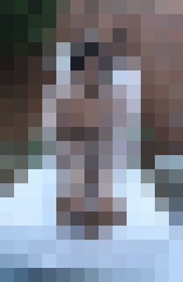 Frenchie Sacramento, California Escort, Pornstar, Verified Adult Service Provider, Companion in United States | 9