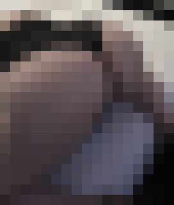 MzHeadScholar Houston, Texas Escort, , Verified Adult Service Provider, Companion in United States | 2