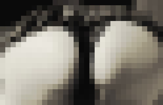 Evaaddiction Charlotte, North Carolina Escort, , Verified Adult Service Provider, Companion in United States | 6