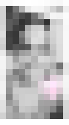Harley Quinn 303 Denver, Colorado Escort, Pornstar, Couple, Verified Adult Service Provider, Companion in United States | 5