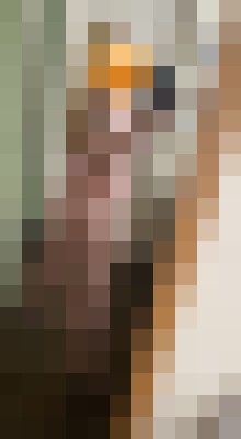 Pretty_lola304 Atlanta, Georgia Escort, , Verified Adult Service Provider, Companion in United States | 12