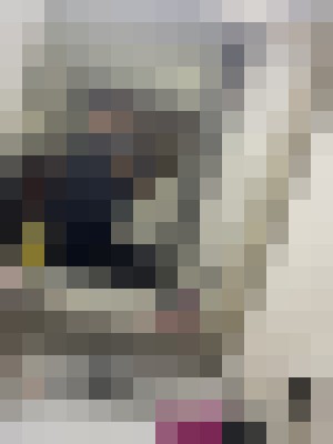 Virgosweets Raleigh, North Carolina Escort, Pornstar, Verified Adult Service Provider, Companion in United States | 9