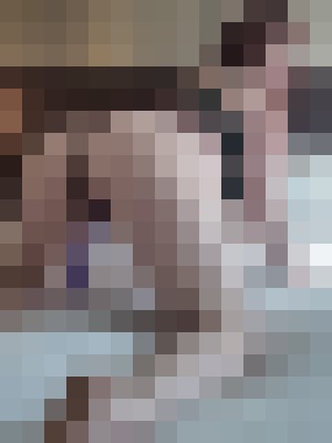 Lita Mackenzie Las Vegas, Nevada Escort, Pornstar, BDSM, Verified Adult Service Provider, Companion in United States | 9