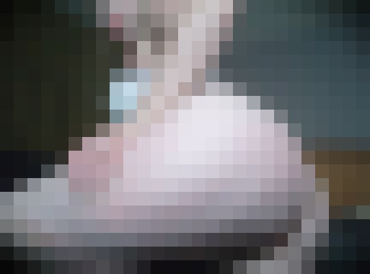 Dizzy Phoenix, Arizona Escort, , Verified Adult Service Provider, Companion in United States | 4
