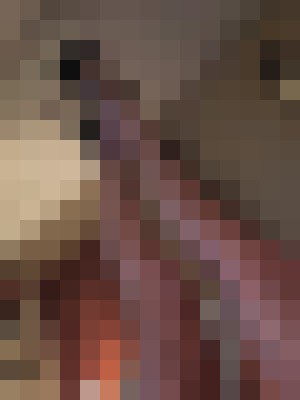 Missmoist Croydon Escort, , Verified Adult Service Provider, Companion in United Kingdom | 7