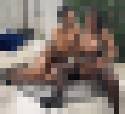 RavenSwallowz Columbus, Ohio Escort, Pornstar, DUO, Verified Adult Service Provider, Companion in United States | 75