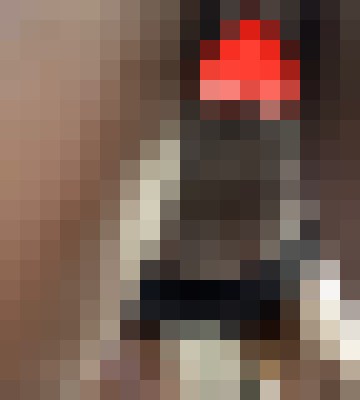 WetDreamzXxX  Charlotte, North Carolina Escort, Pornstar, BDSM, DUO, Couple, Massage, Verified Adult Service Provider, Companion in United States | 4