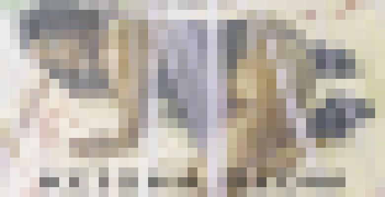 keisha blow Seattle, Washington Escort, Pornstar, BDSM, DUO, Verified Adult Service Provider, Companion in United States | 6