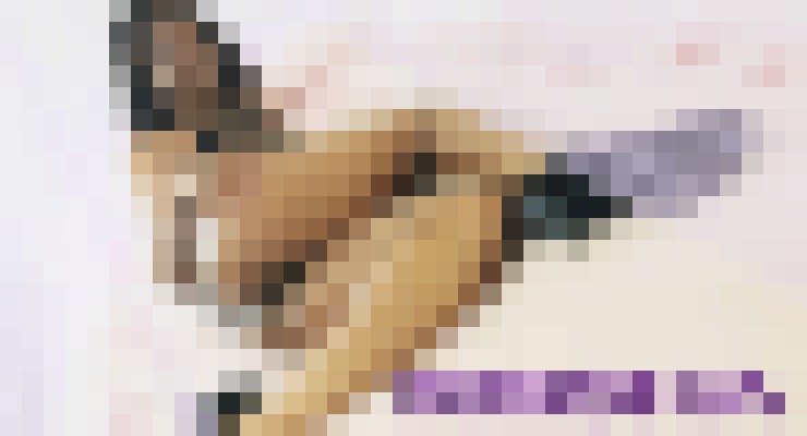 keisha blow Seattle, Washington Escort, Pornstar, BDSM, DUO, Verified Adult Service Provider, Companion in United States | 7