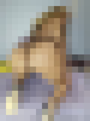 Msaquainfinity Denver, Colorado Escort, , Verified Adult Service Provider, Companion in United States | 8
