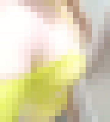 HoneyBear Sacramento, California Escort, , Verified Adult Service Provider, Companion in United States | 7