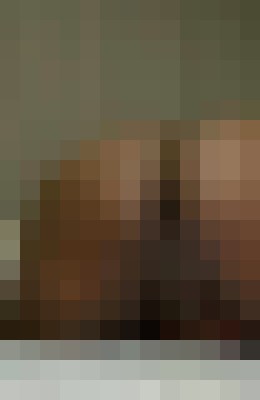 Chocolate7 Rocky Mount, North Carolina Escort, Pornstar, BDSM, Verified Adult Service Provider, Companion in United States | 5
